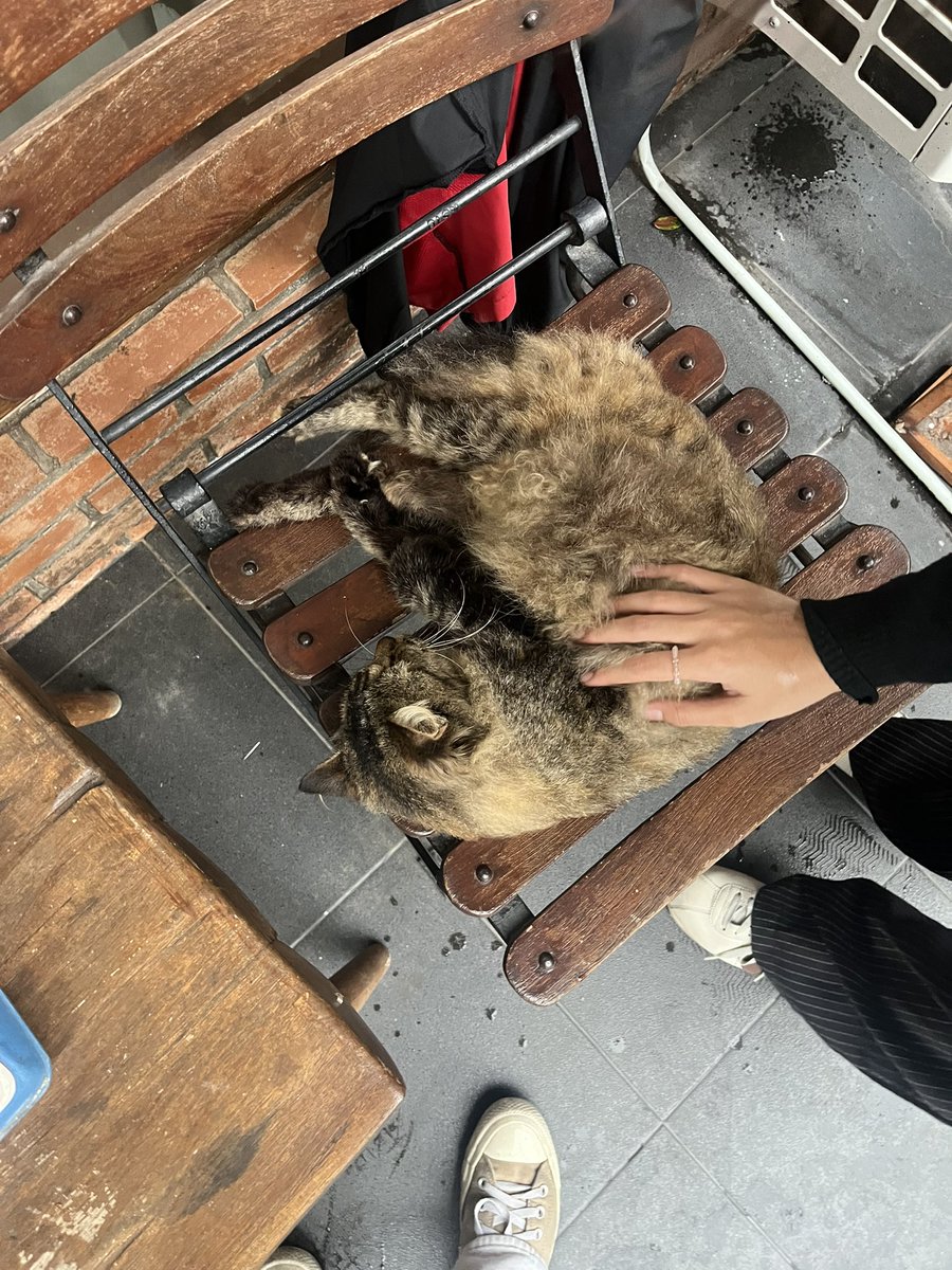 ding the lady glitter sparkle 🫧🍉!! tweet media