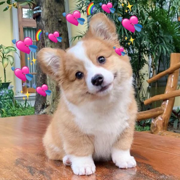 .⋆𝓟𝓾𝓷𝓳𝓪𝓫𝓲 𝓚𝓾𝓭𝓲.｡ᥫ᭡ tweet media