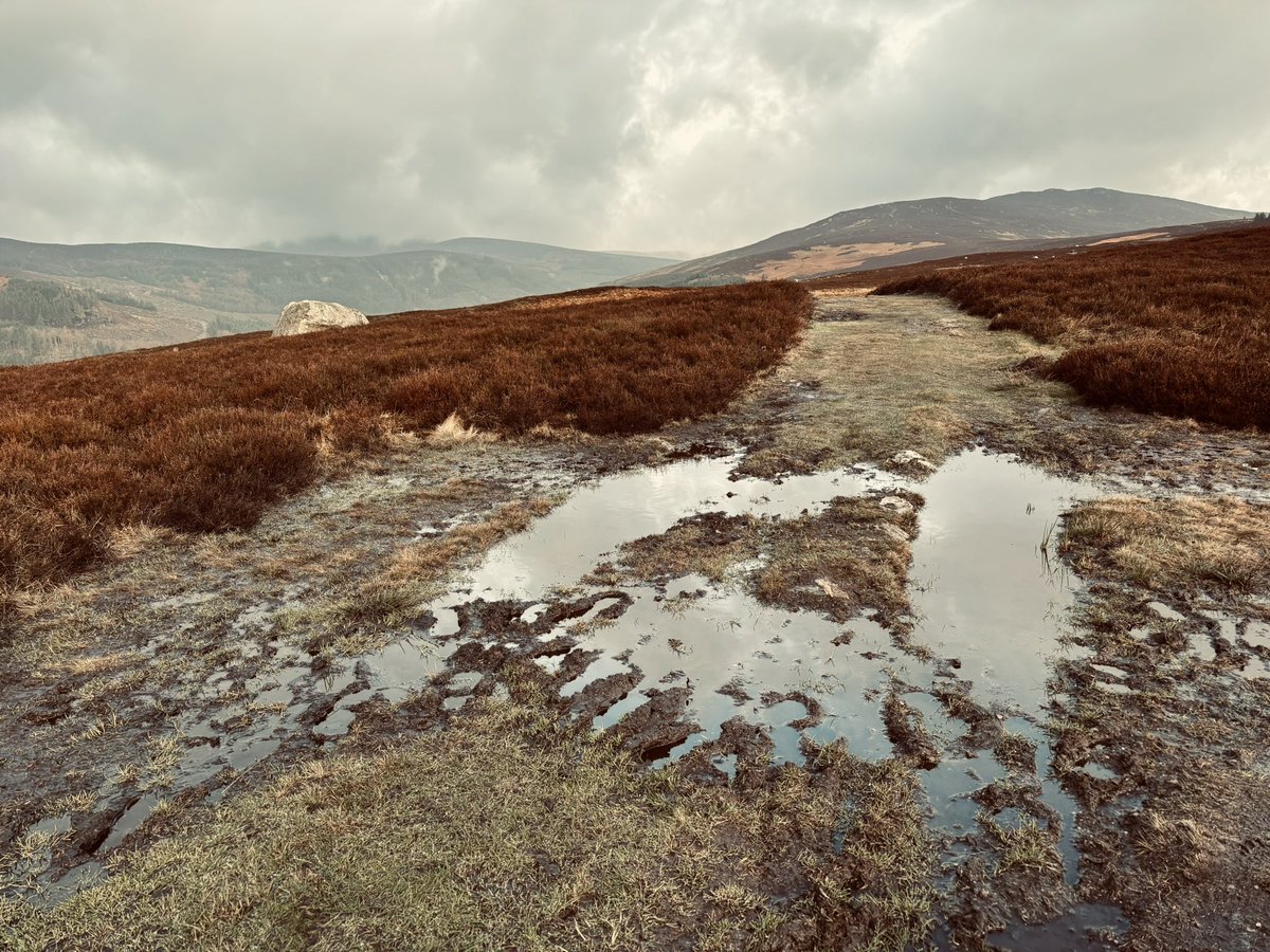 Becca3Artach's tweet photo. #Scarr #wicklow #mountainrun #soggy https://t.co/6MU0KRuwoU