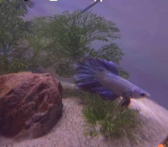 Gianna P 🐼 tweet media