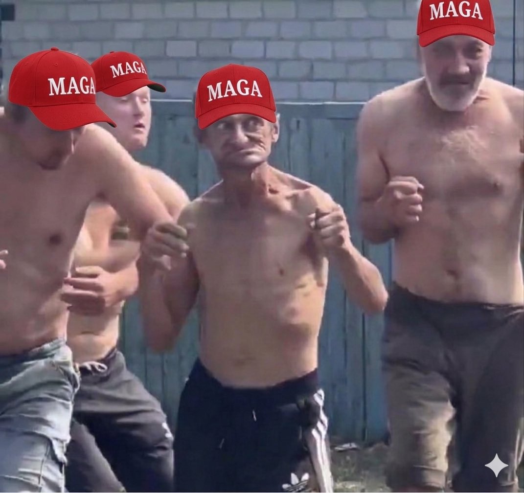 Gilmour93 tweet media