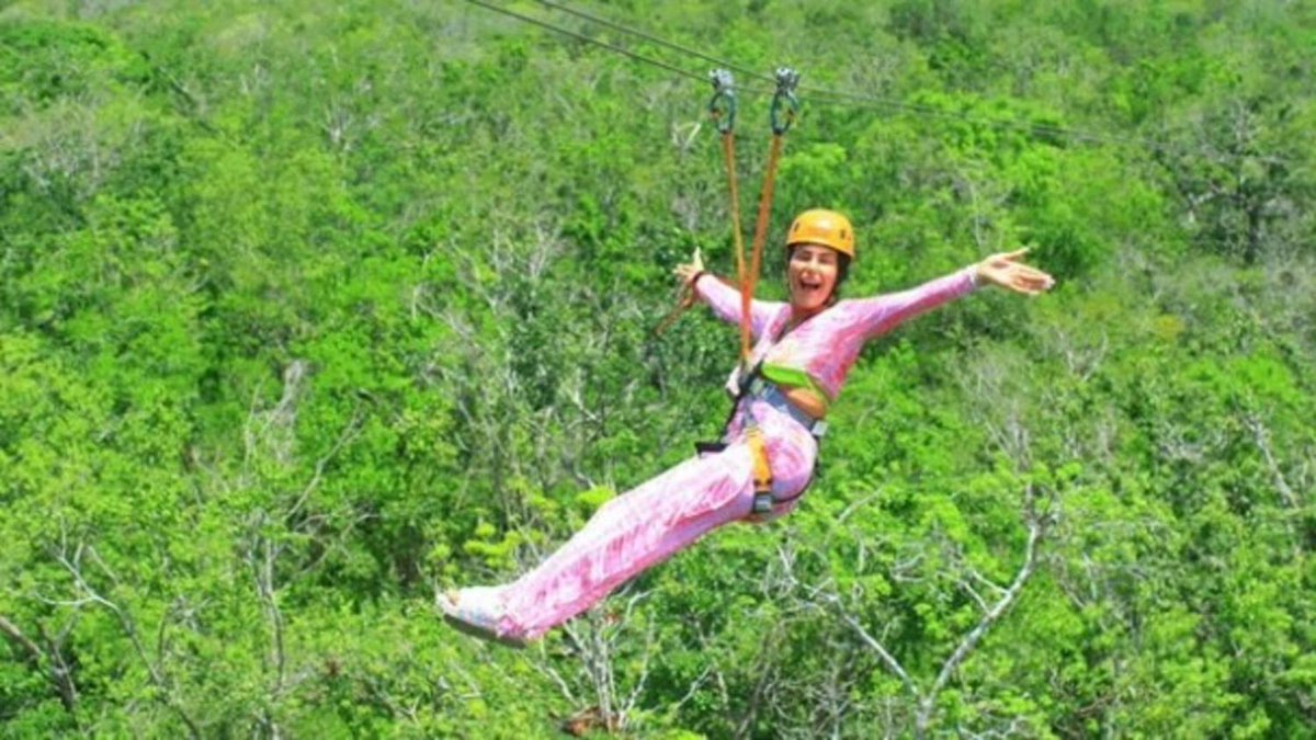 De Telegraaf tweet media