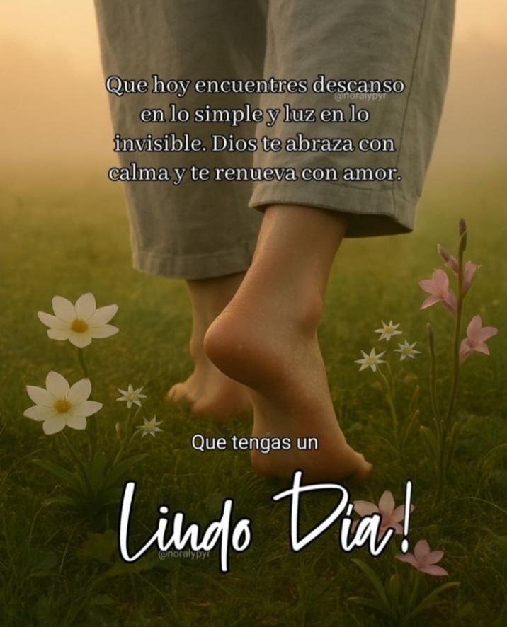 Lucy Pineda tweet media