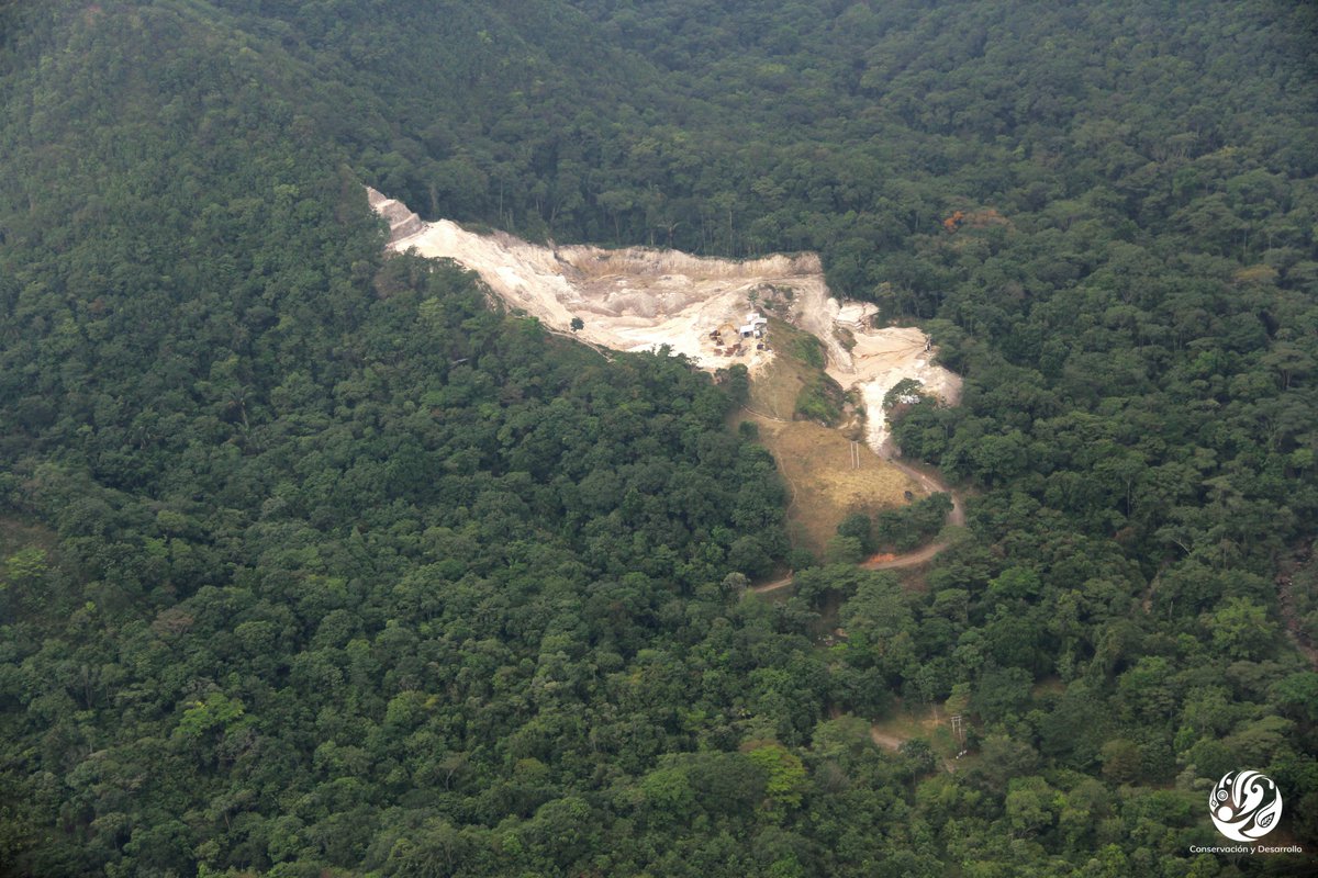 Fundación para la Conservación y el Desarrollo tweet media