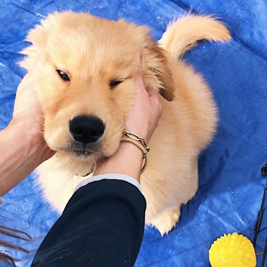 aali⋆♱ tweet media