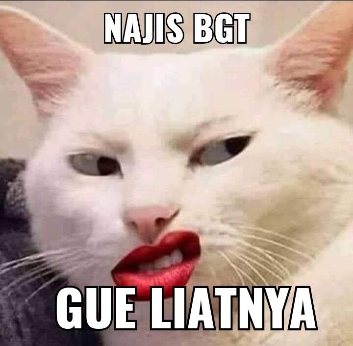 amelllalala tweet media