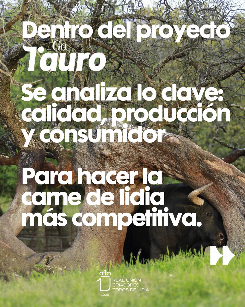 Real Unión de Criadores de Toros de Lidia tweet media