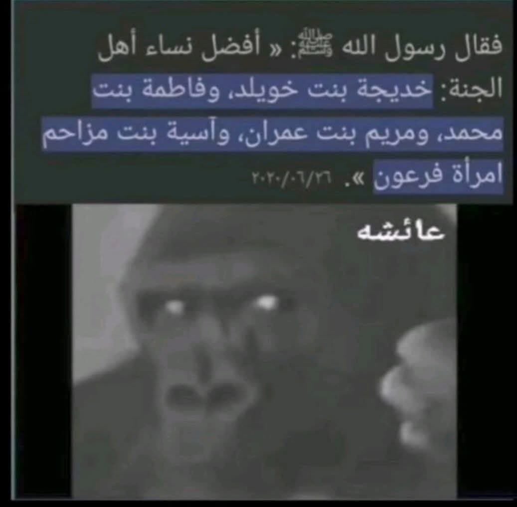 علاء الشمري tweet media