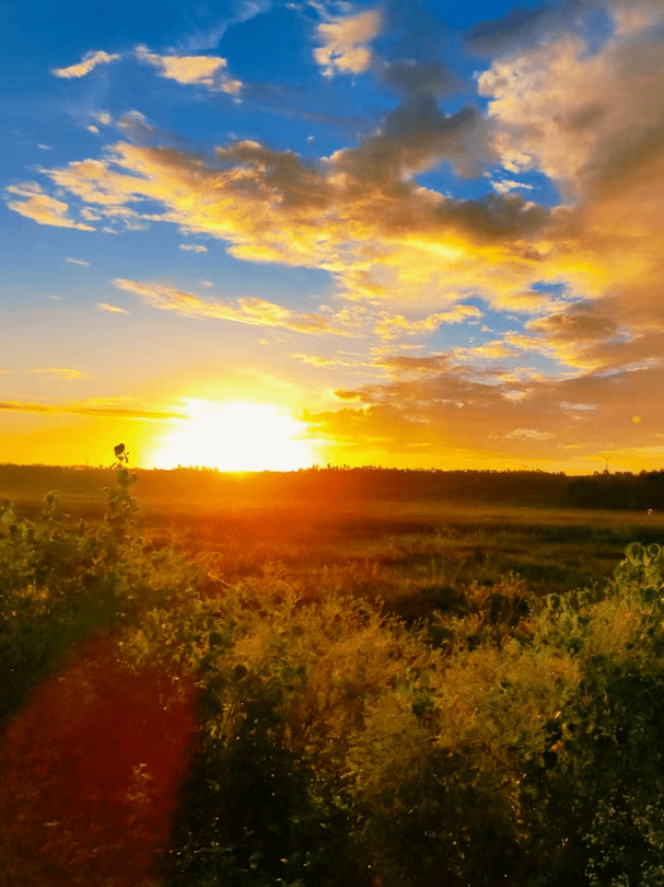 Sam Moore tweet media