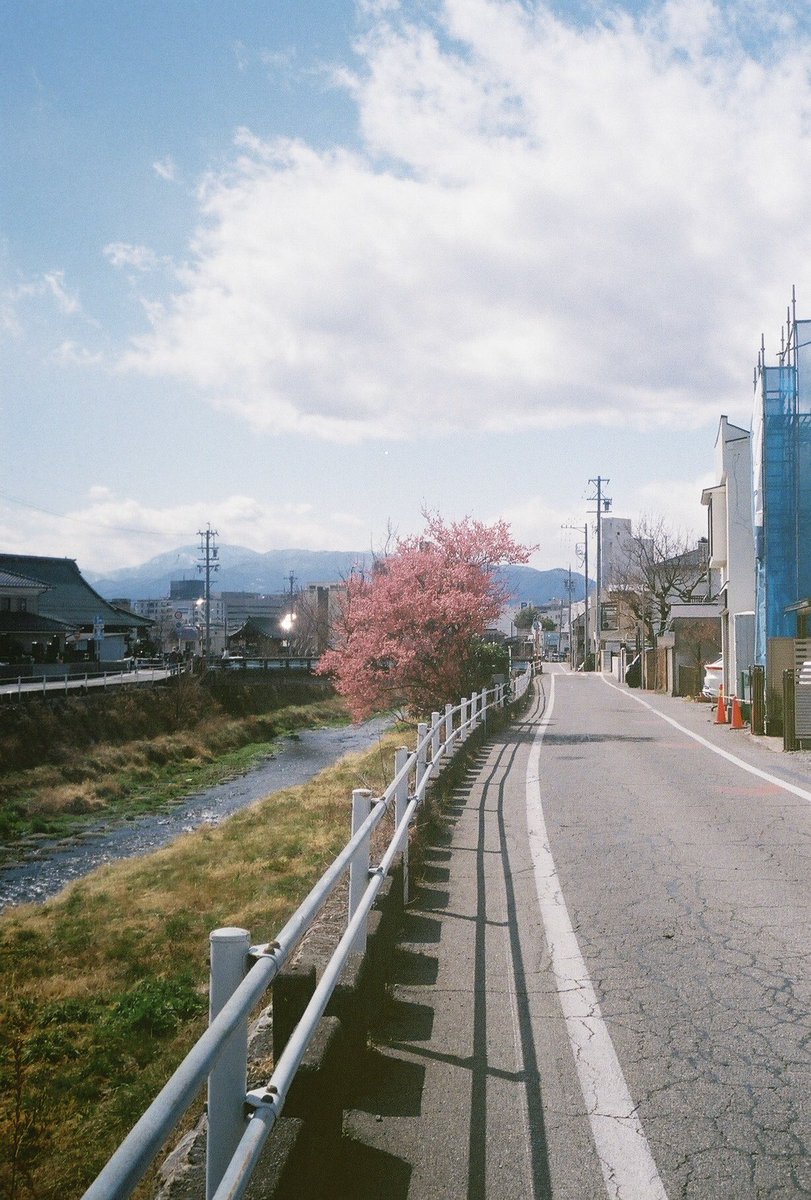 ミワ (@not_sanrinsya2) on Twitter photo 