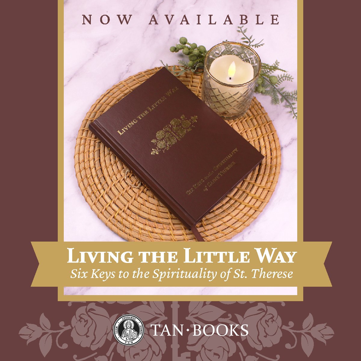 TAN Books tweet media