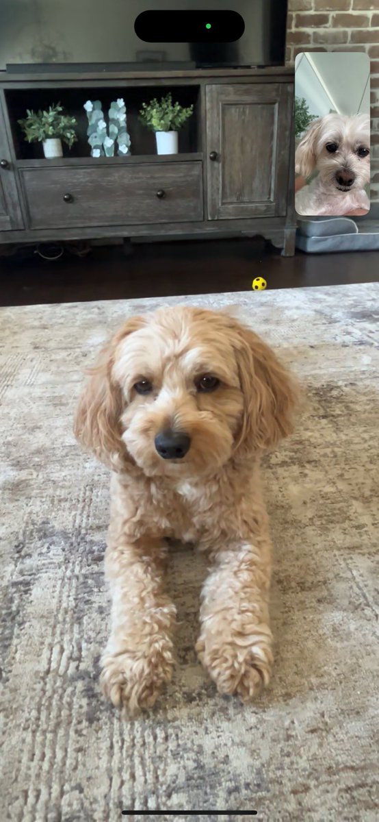 Nikki⛦˙♱☠︎︎♱˙⛧ tweet media