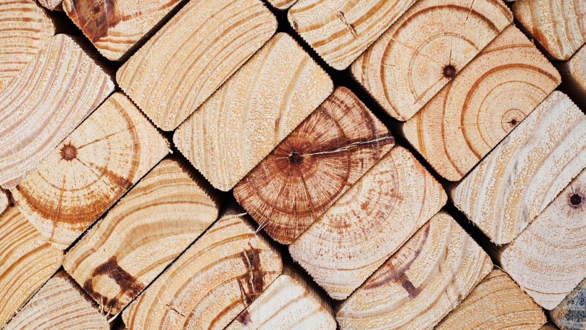 nothing respecter tweet media