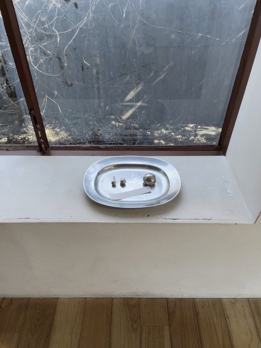  ︎︎ tweet media