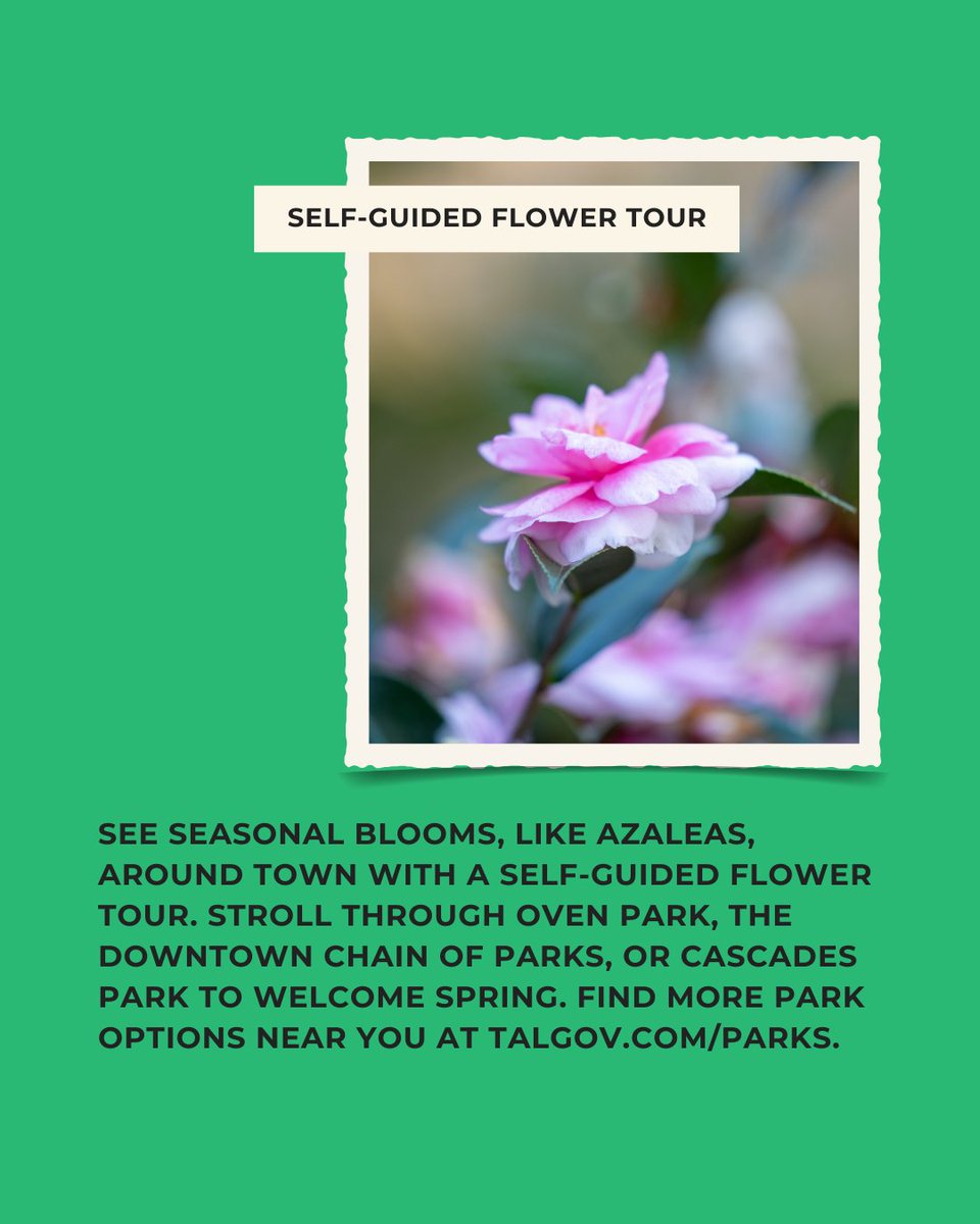 COT Parks tweet media