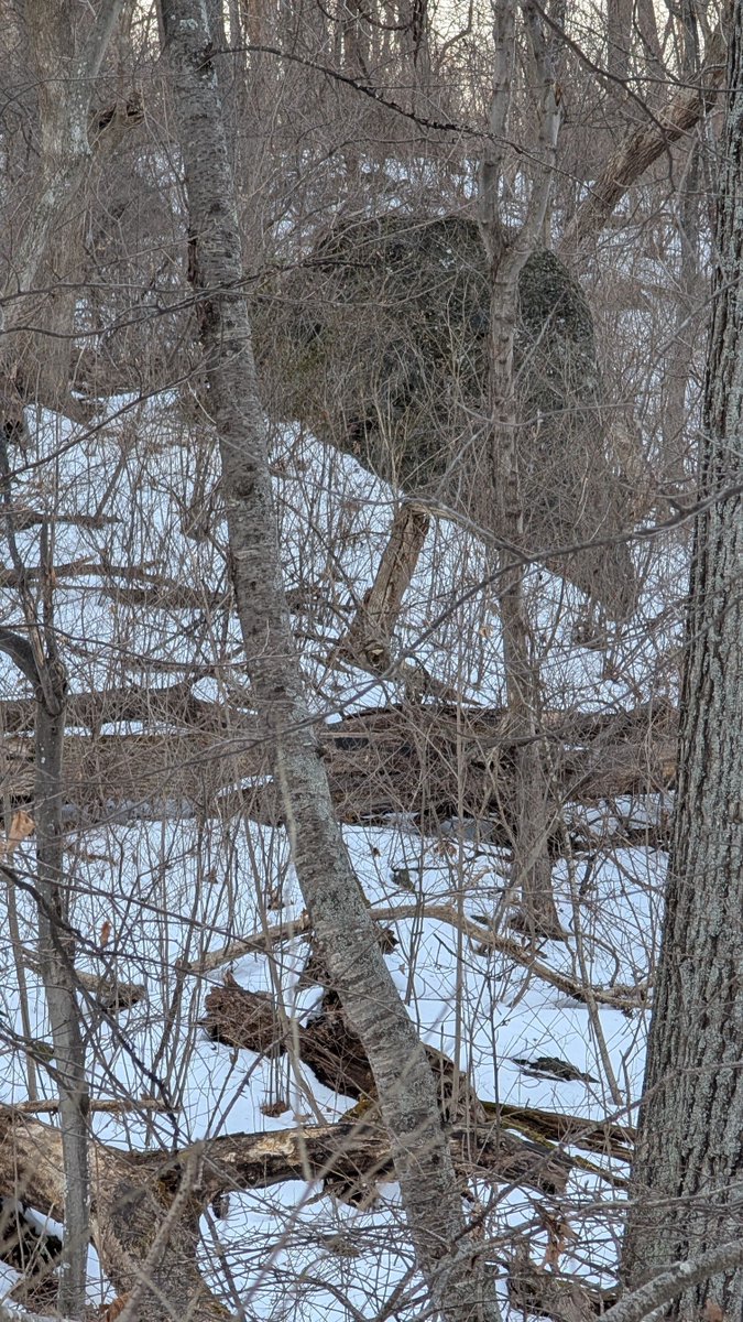 Wisdom from the Greater Community Way of Knowledge tweet media