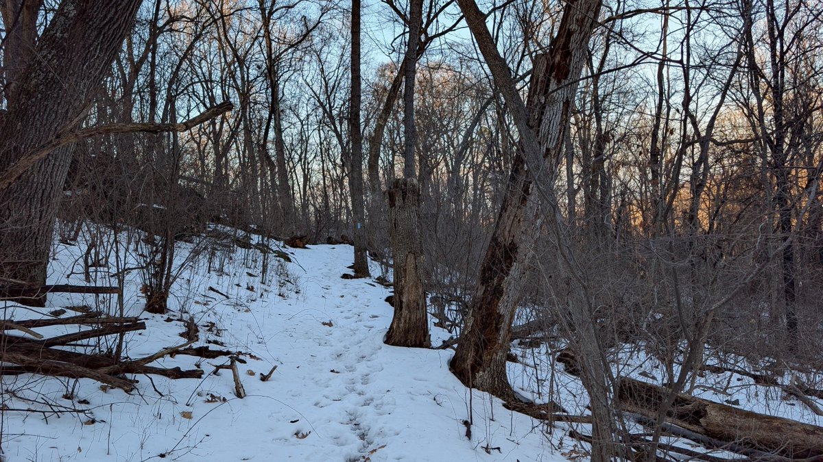 Wisdom from the Greater Community Way of Knowledge tweet media