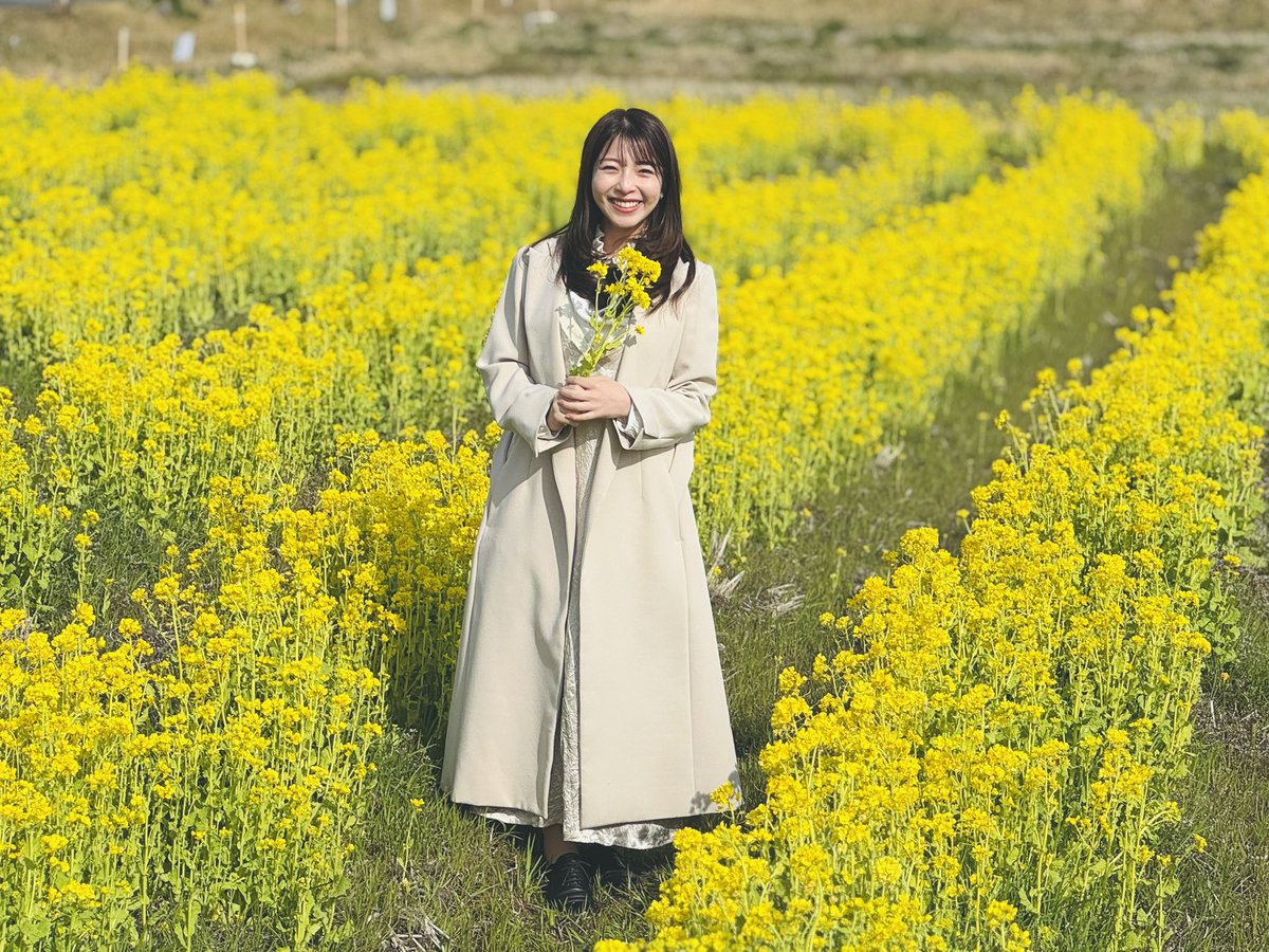 北村真平(ABCアナウンサー) tweet media