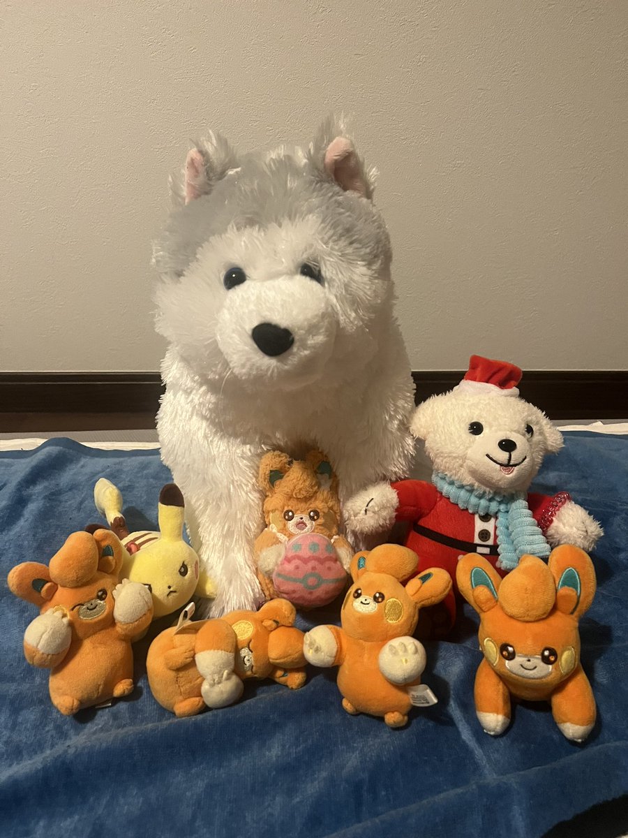 おチマちゃん tweet media