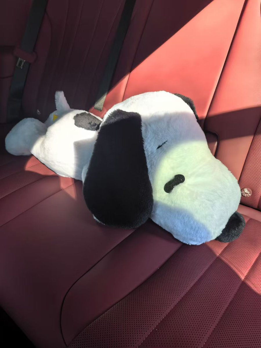 我在汕头 tweet media