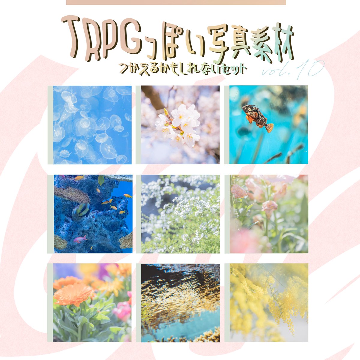 なるみん🦍 tweet media