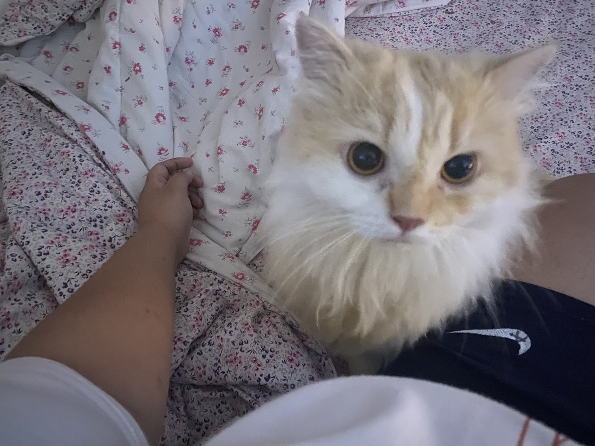 𓆩 GIO 𓆪 tweet media