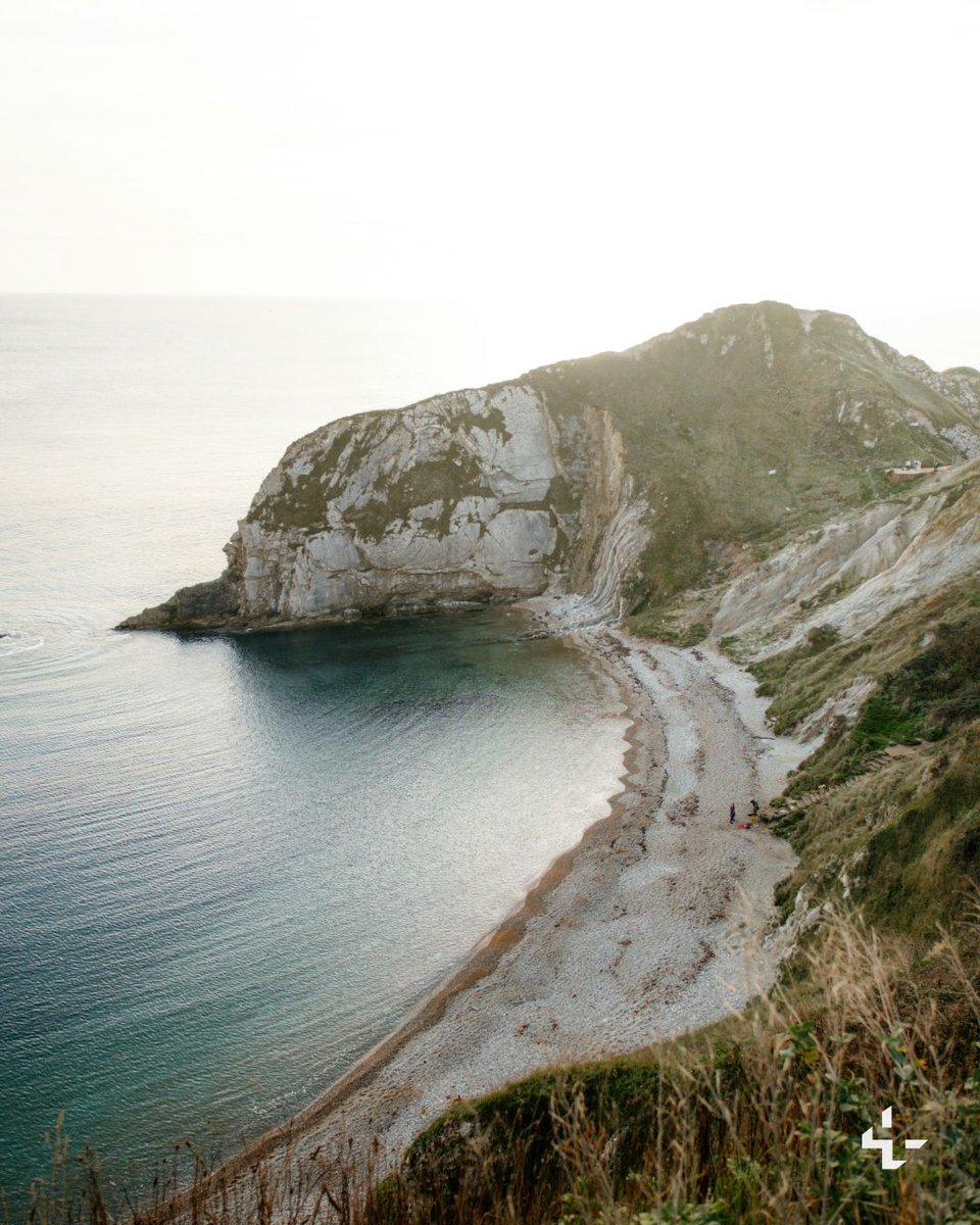 Unsplash tweet media