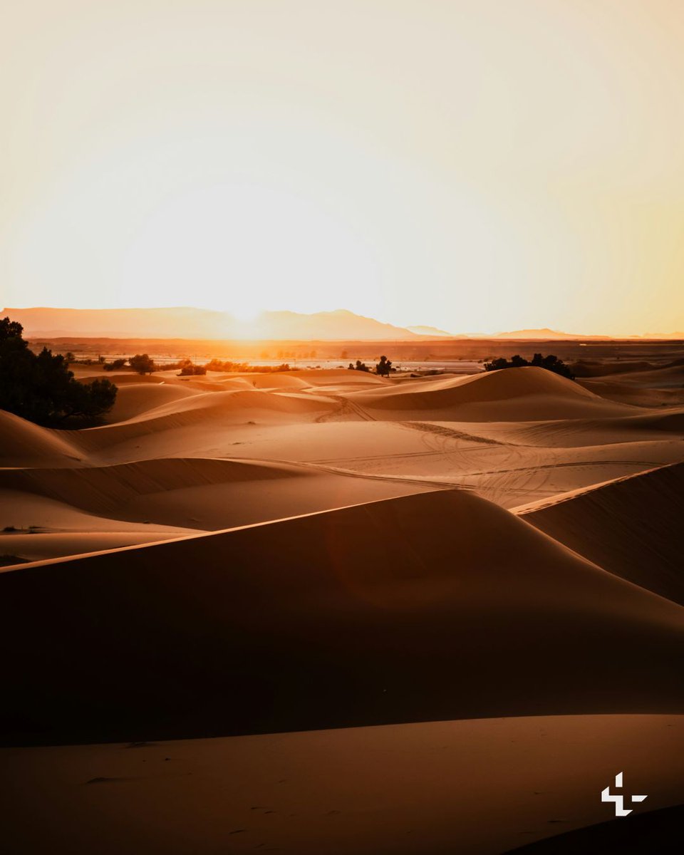 Unsplash tweet media