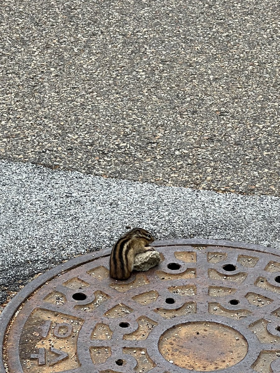 이사벨 tweet media