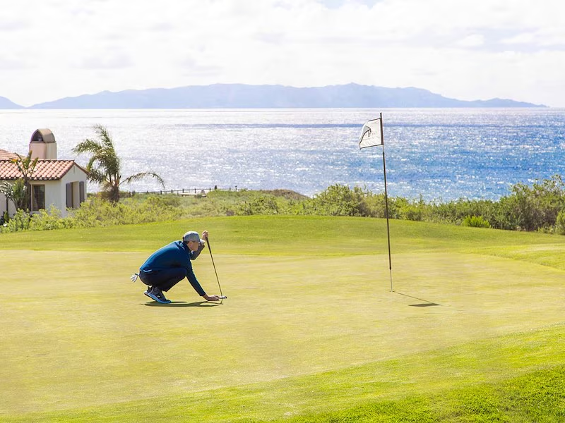 Public Power tweet media