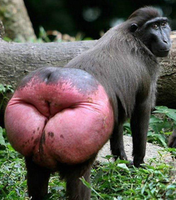 TERMINATOR tweet media