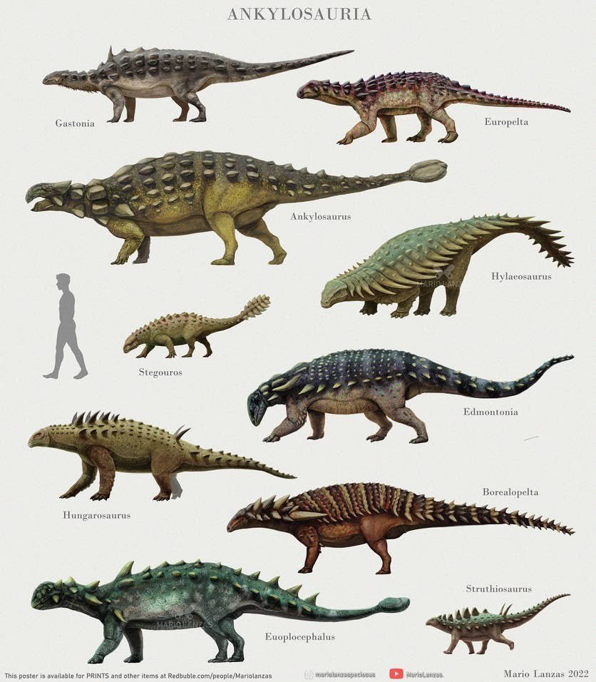 dia 🦌 tweet media