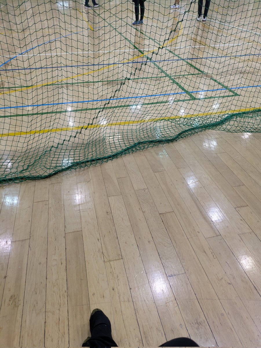 マダオ。 tweet media