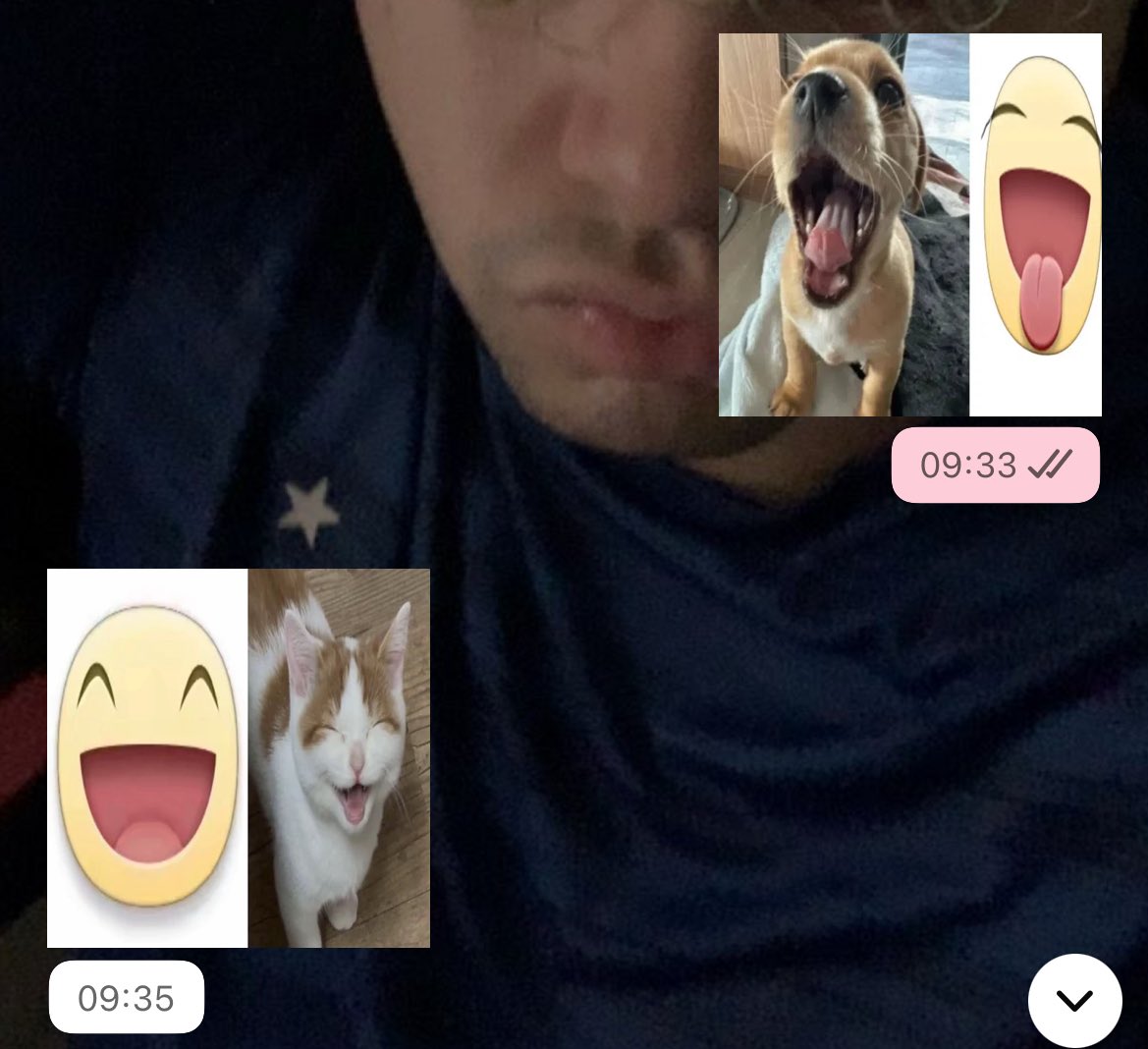 ₍ᐢ. .ᐢ₎ tweet media