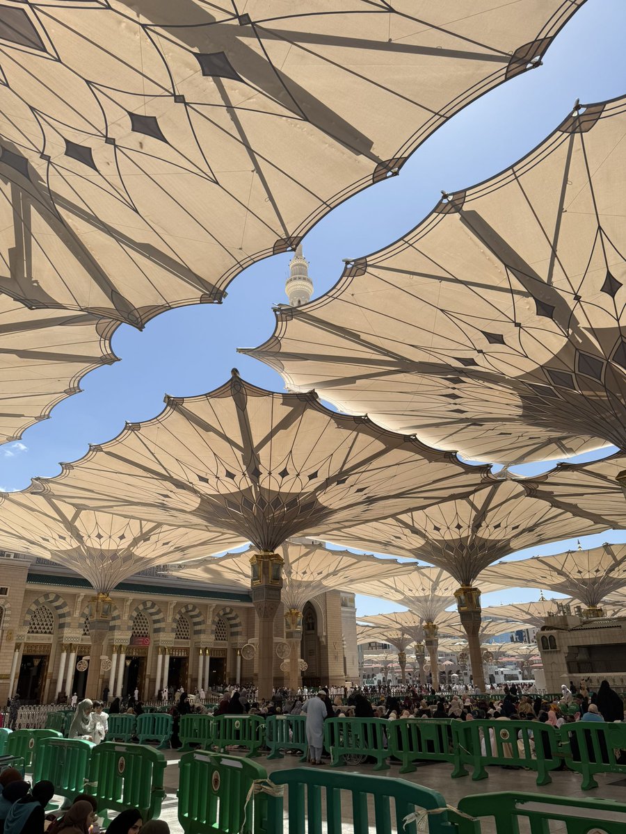 L🇸🇩🌺 tweet media