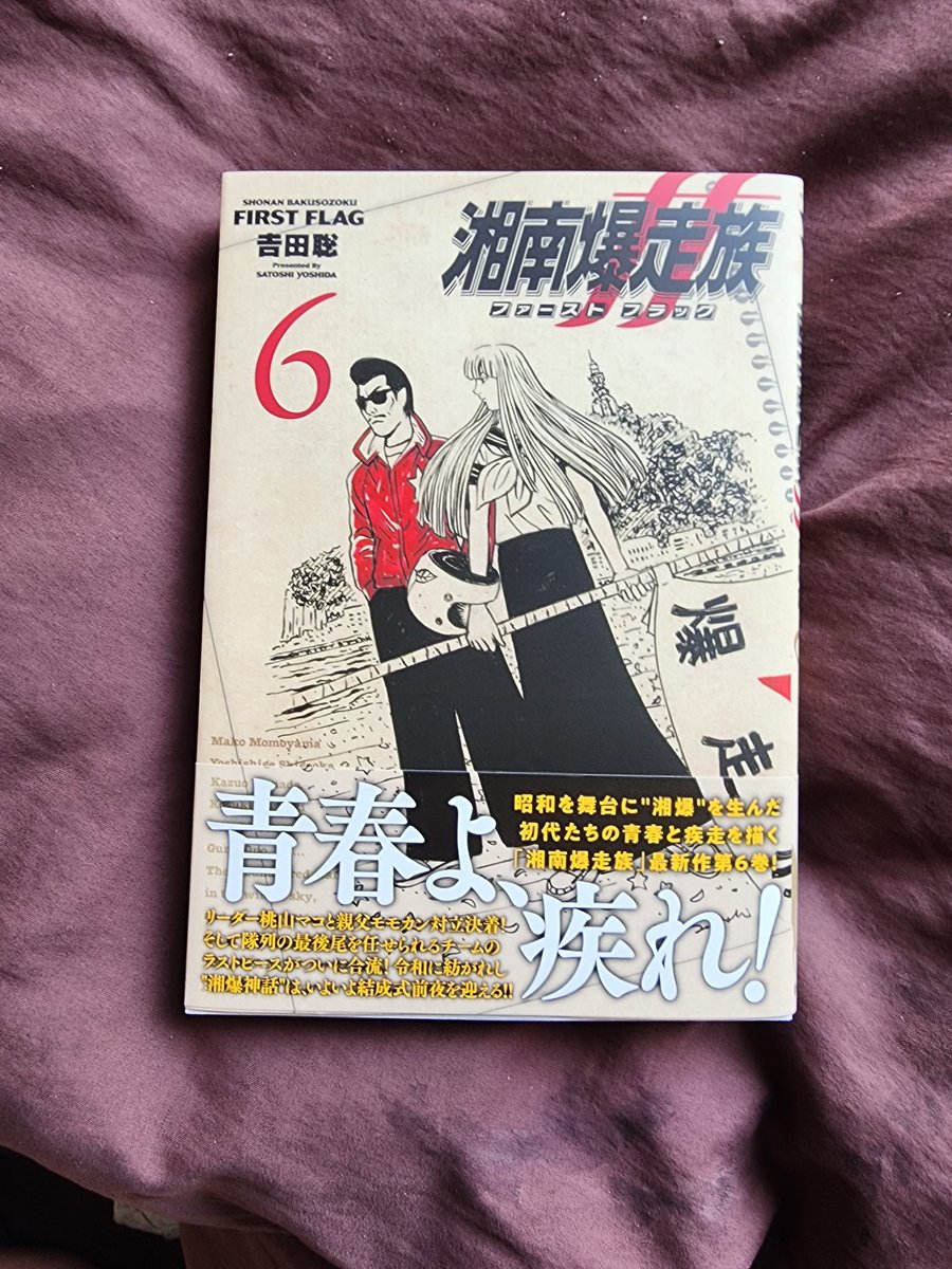 湘南爆走族ファーストフラッグ

#湘南爆走族ファーストフラッグ