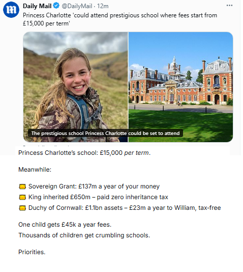 Candice Holmes tweet media