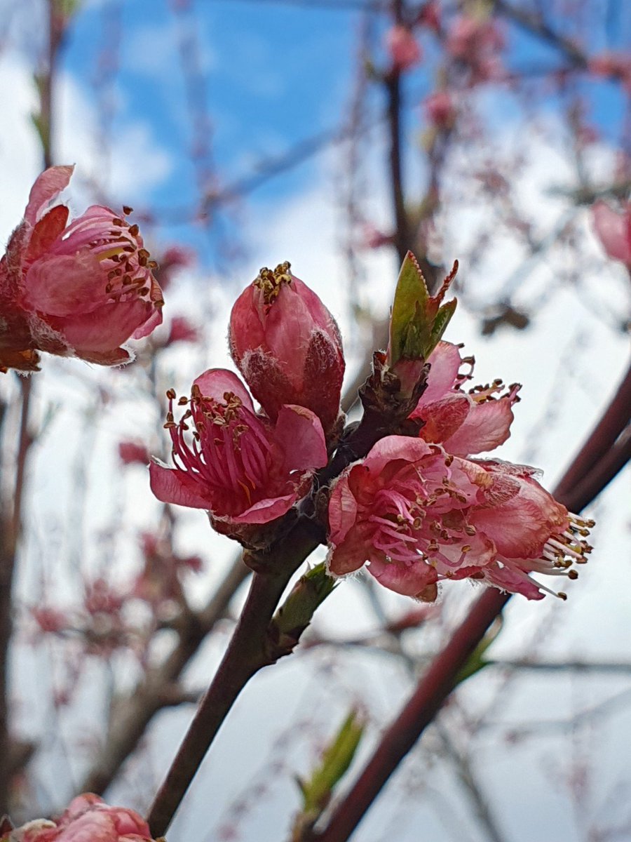 𝓙𝓒𝓦 🌱 tweet media