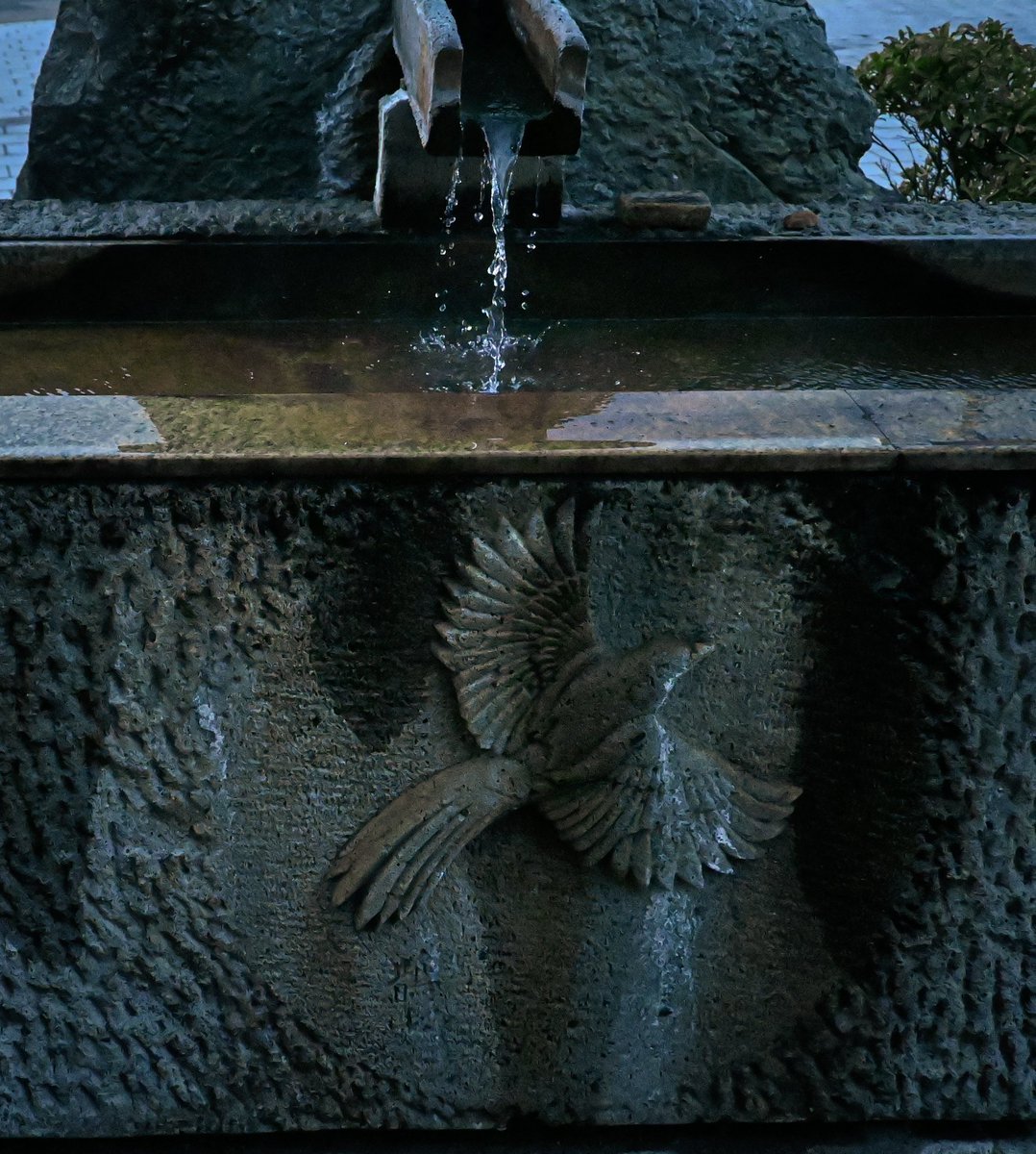 aki/•᷅•᷄\୭ tweet media