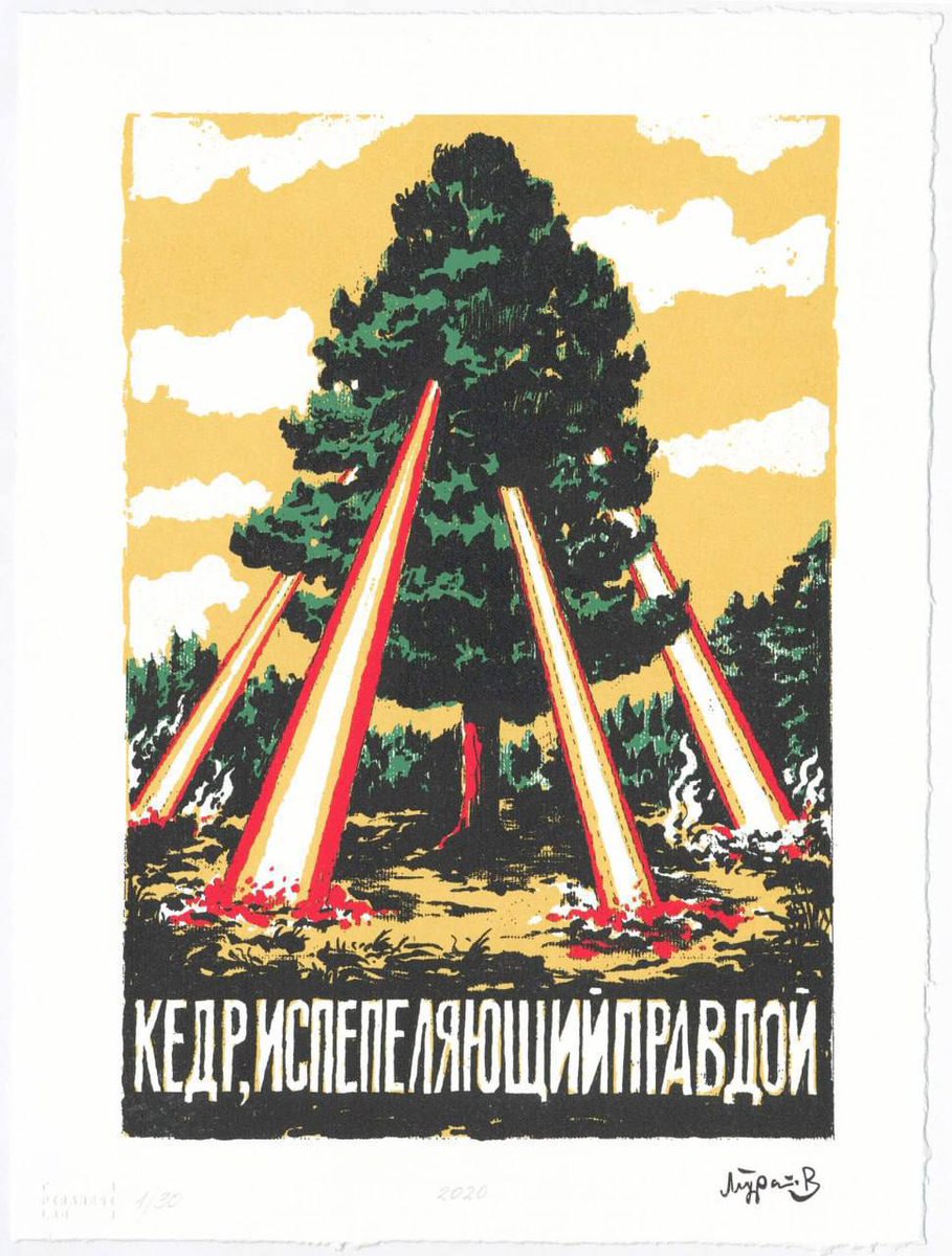 Кедр tweet media