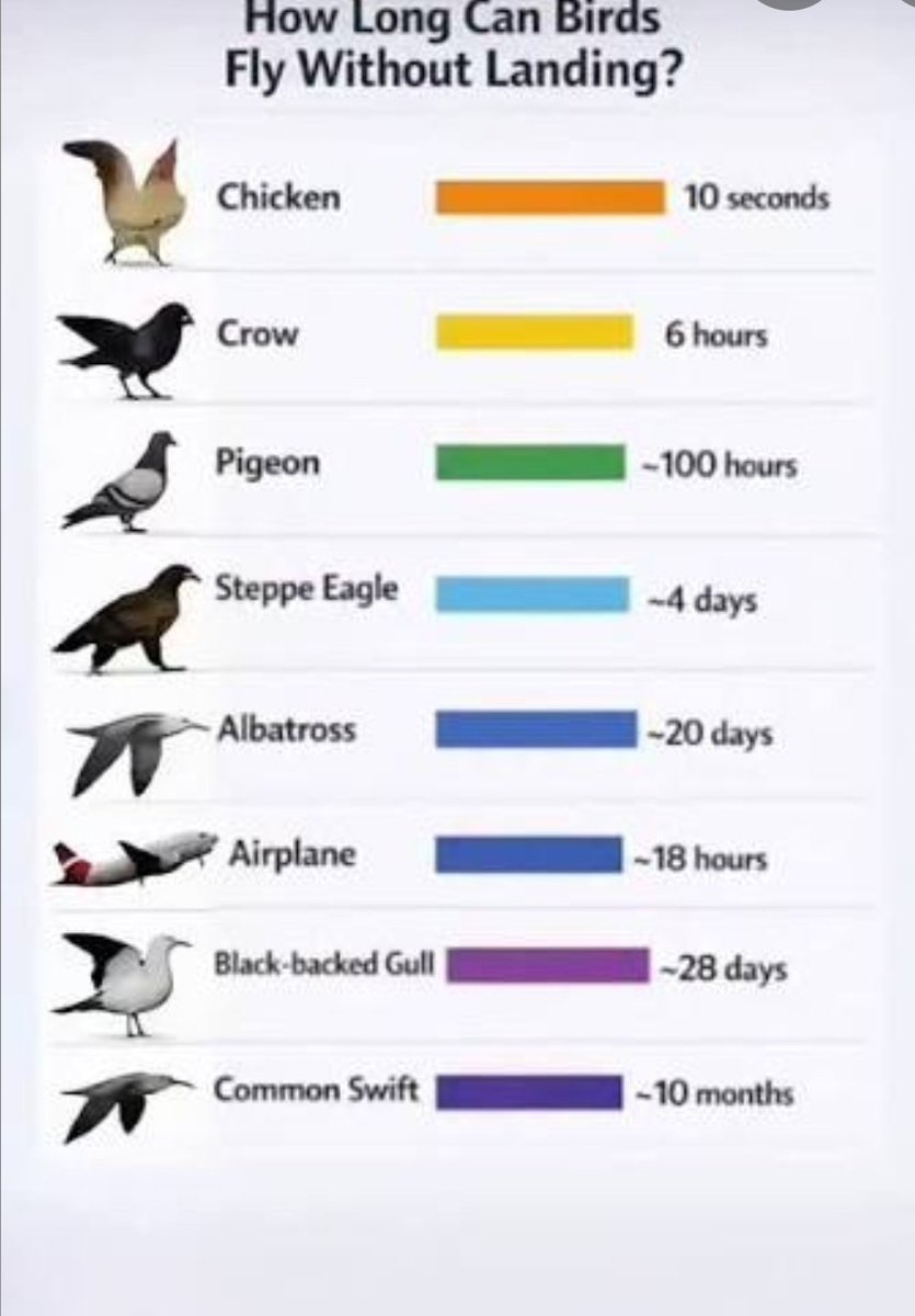 6 Mile's Own tweet media