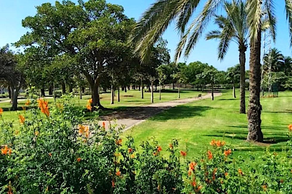 Maspalomas Ahora tweet media