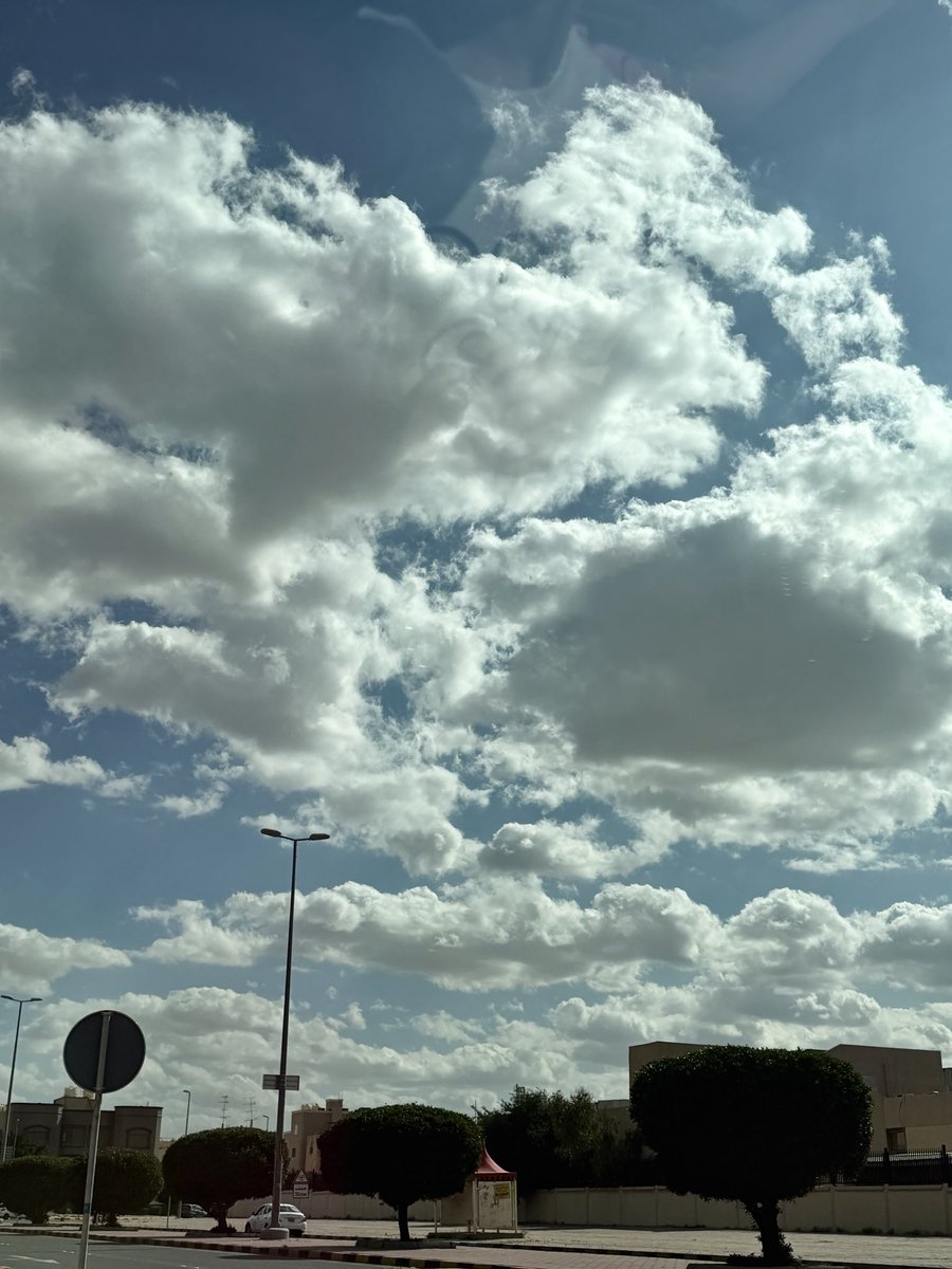 ساره الدريس tweet media