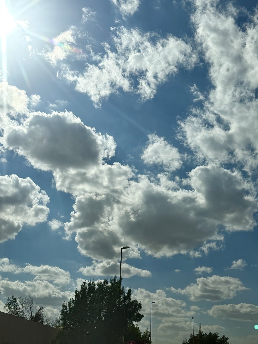 ساره الدريس tweet media