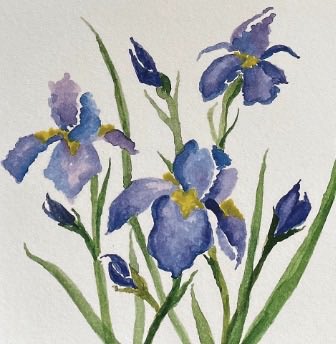 Cath Muir EyeGaze Artist tweet media