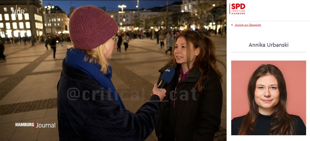 Critical Cat | tweet media