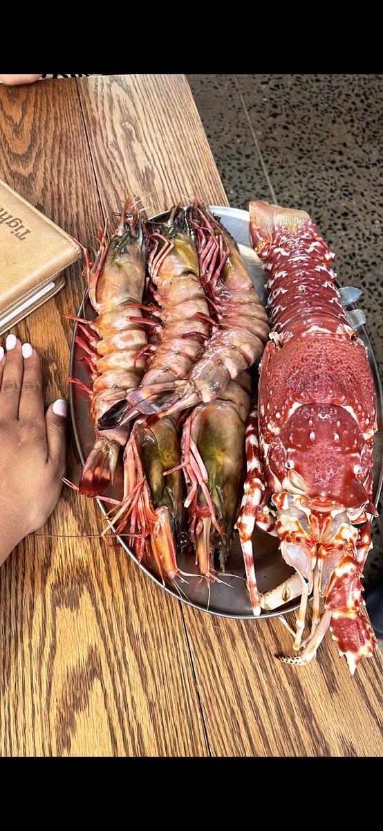 Dani Bagel tweet media