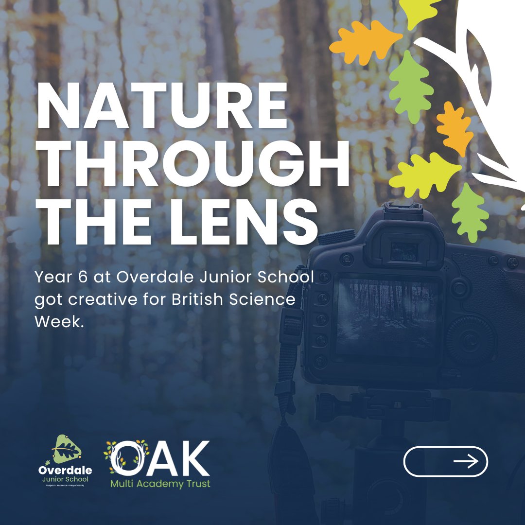 OakMATrust's tweet image. Year 6 pupils at Overdale Junior School, part of OAK, got creative for #BritishScienceWeek 📸
Exploring woodland spaces, they captured and edited nature photography as part of a class competition.
At OAK, we value outdoor learning as a way to inspire curiosity.