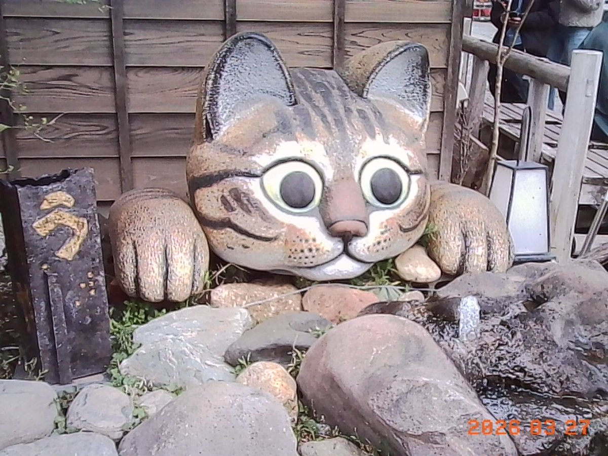 葉月　(hazuki) tweet media