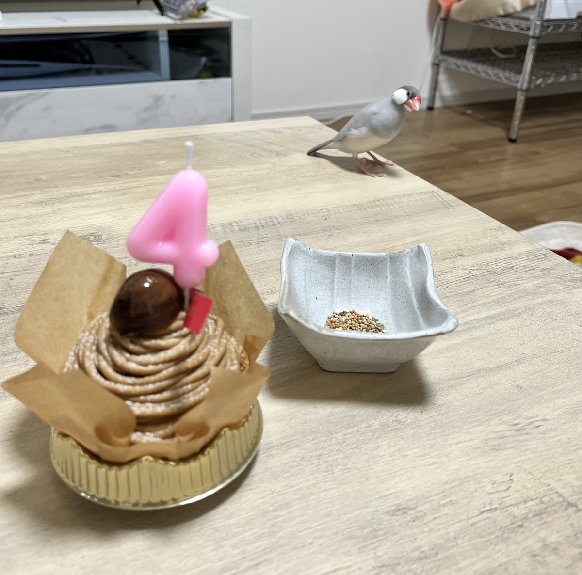 しらたま𓅫 tweet media